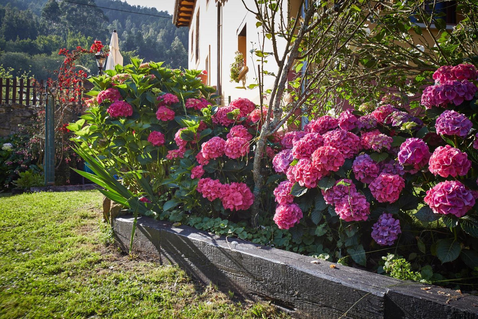 Casa Rural Casa Capion Villaviciosa  Extérieur photo